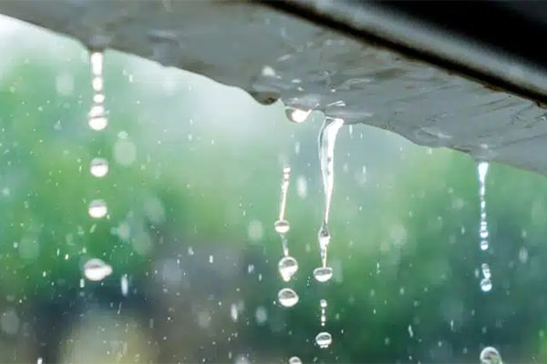 récupérer eau de pluie